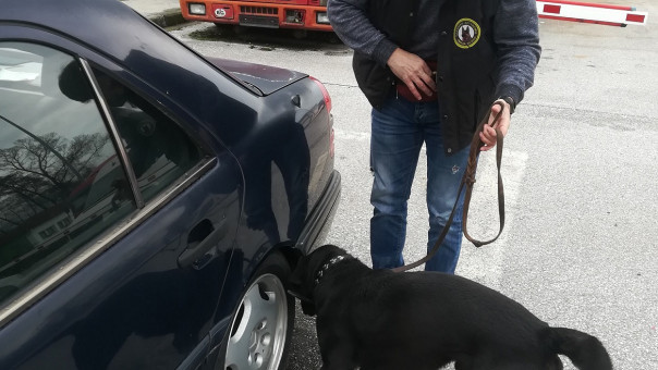 Θεσσαλονίκη: Ναρκωτικά εντόπισε σε επιχείρηση της ΕΛ.ΑΣ ο σκύλος «Άτλας»
