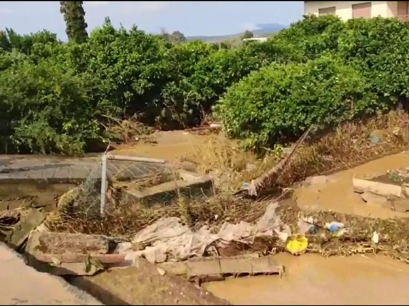 Ιωάννα Τσικουδή για Εύβοια: Δεν ξέρω αν έχει ξανασυμβεί κάτι τέτοιο Αύγουστο μήνα