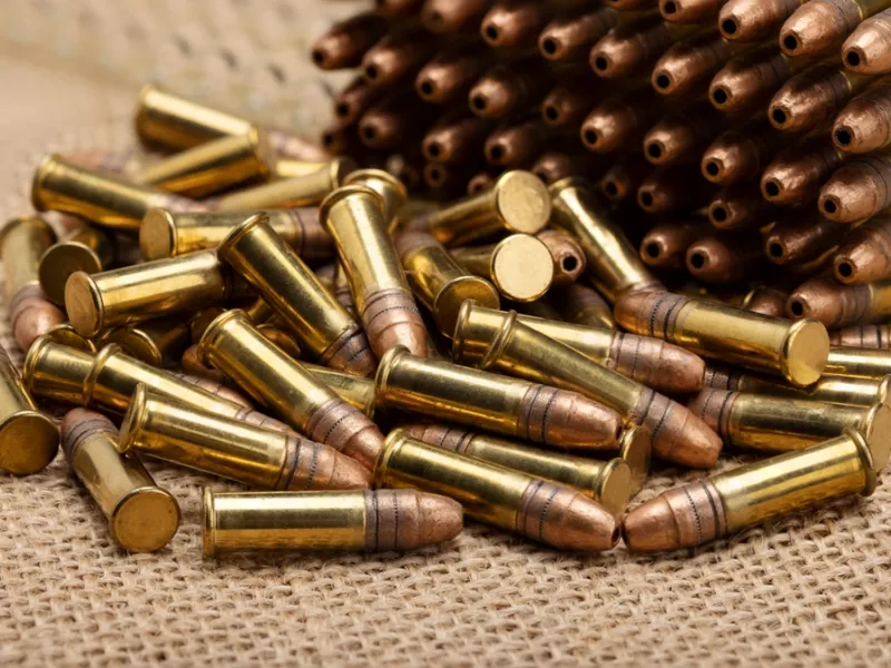 Gun