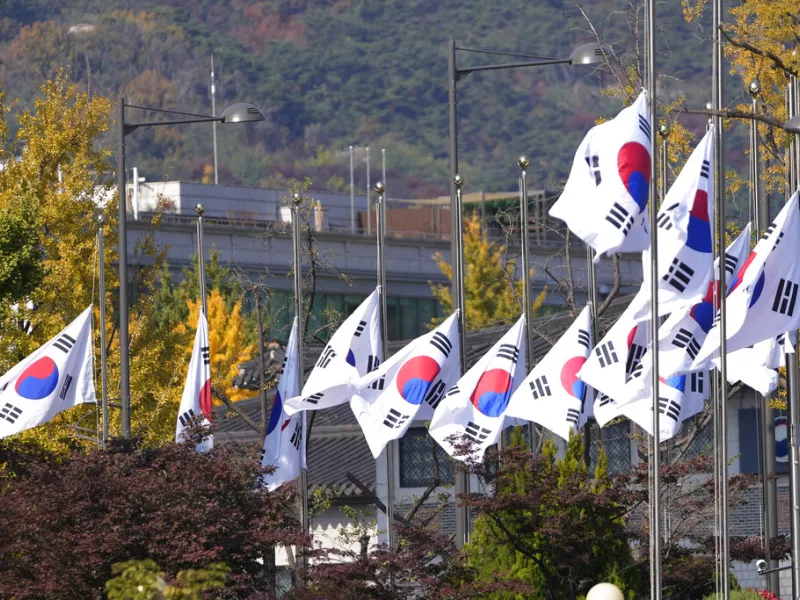 South Korean national flags 