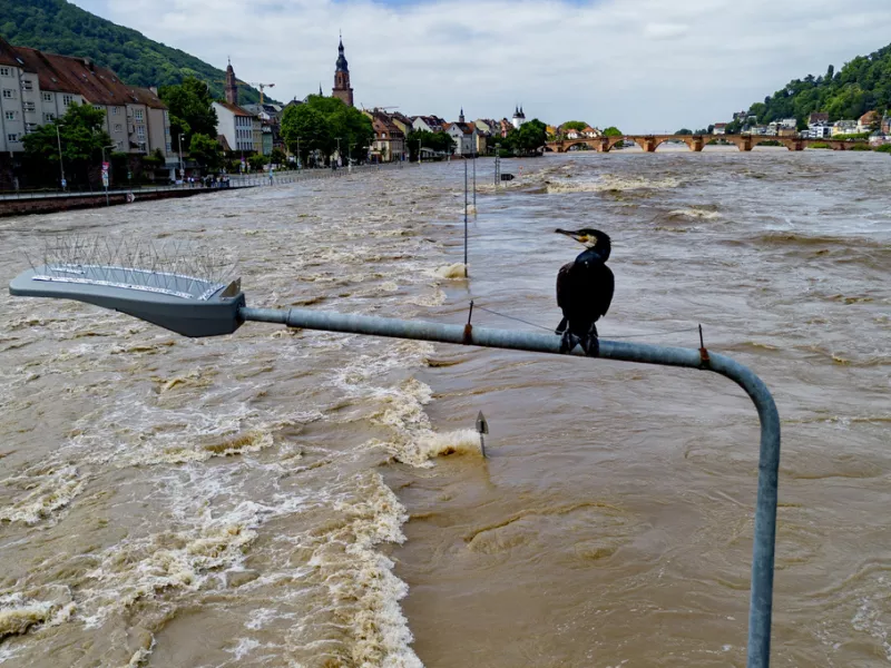 Germany