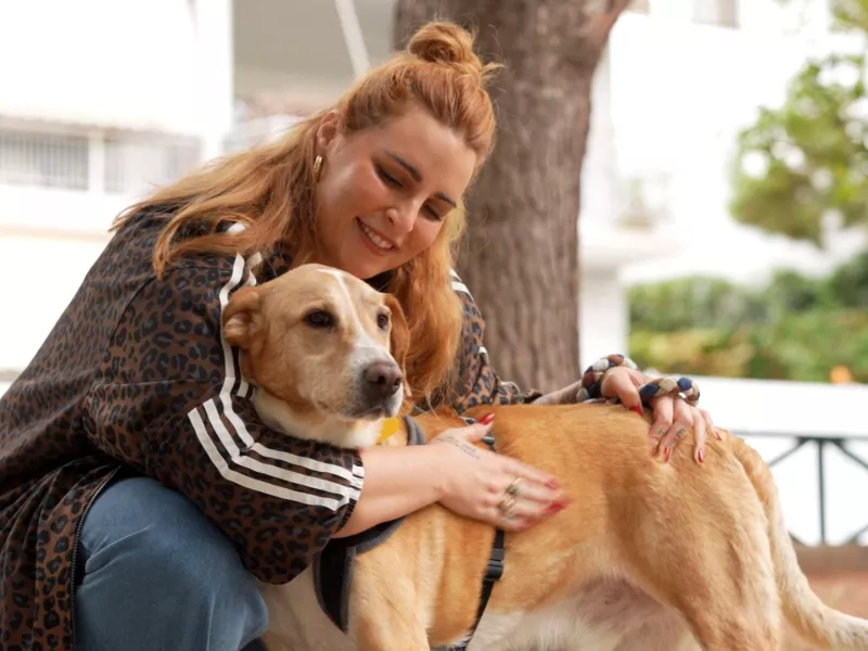 Pet Stories