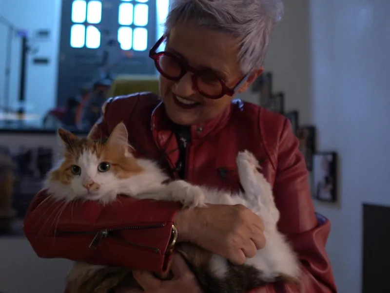 Pet Stories