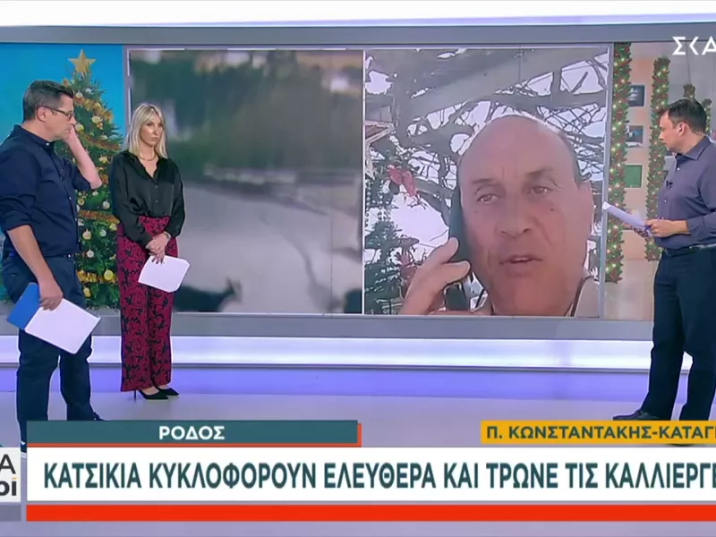 κατσίκια Ρόδος 