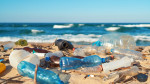 Έρευνα: Οι ωκεανοί «βουλιάζουν» από πλαστικές συσκευασίες «take away» φαγητού