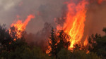 Σε ποιες περιοχές υπάρχει υψηλός κίνδυνος πυρκαγιάς (κατηγορία κινδύνου 4) την Κυριακή (pic) 