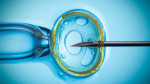 Εξωσωματική γονιμοποίηση: είναι ασφαλής; 