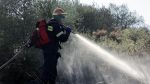 Υψηλός κίνδυνος πυρκαγιάς σε Αττική, Κεφαλονιά, Ζάκυνθο και Δωδεκάνησα 
