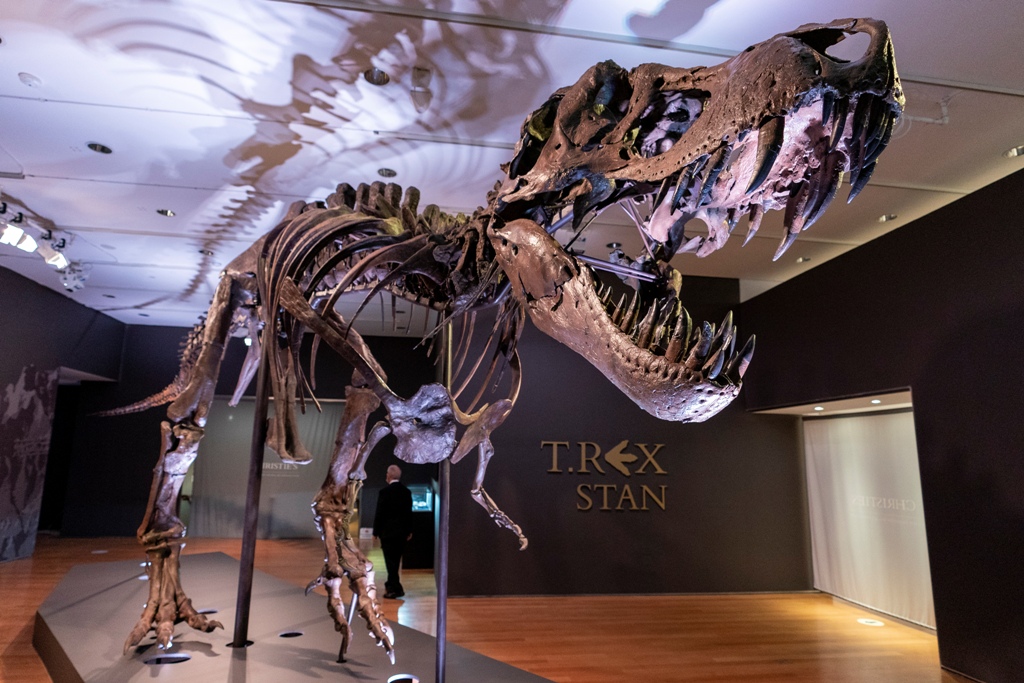 Στο "σφυρί" σκελετός τυραννόσαυρου Ρεξ - Κατακυρωθηκε έναντι 28 εκατ. δολαρίων